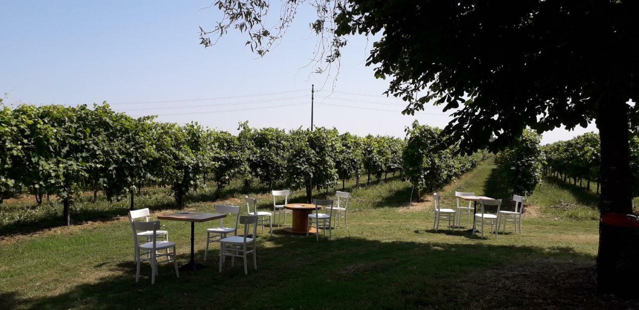 Agriturismo Vitae Fabbrico Exterior foto